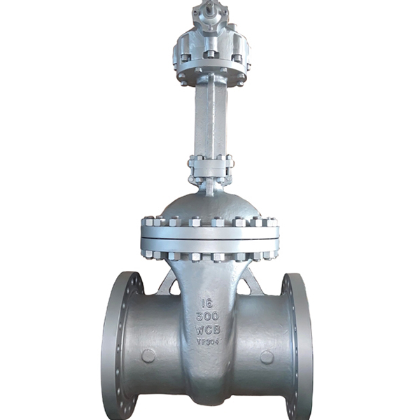 ɡ������������բ��